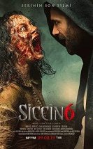 Siccin 6