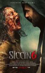 Siccin 6