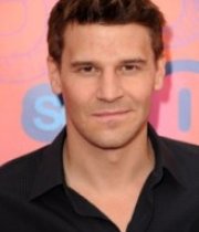 David Boreanaz