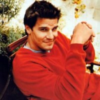 David Boreanaz